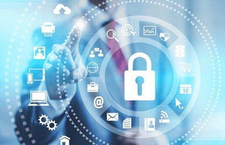 未来十年依旧热门的四大工科专业 网络安全与软件开发引领科技浪潮